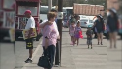 Los paseos por la bahía no pasan de moda