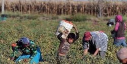 9 de cada 10 niños, realiza actividades no permitidas