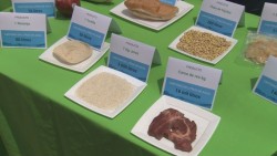 Expo de cuidado del medio ambiente