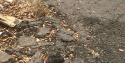 Dañado asfalto de la Paseo Humaya