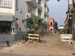 "Paliarán" pérdidas económicas con apoyos...