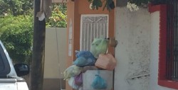 Hace varios días no pasa el camión de la basura en la Lombardo Toledano