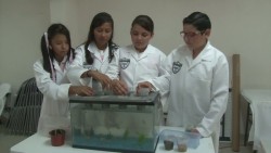 Ganan secundarias del puerto primeros lugares en concurso estatal de ciencias