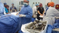 Falta mucha cultura para la donación de órganos