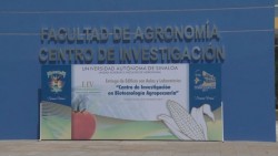 Levanta UAS denuncia por incursión de grupo armado