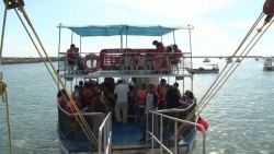No repuntan los paseos por la bahía por festejo del día del padre
