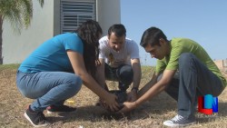 Televisoras TVP y UTS plantaron árboles