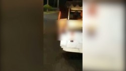 ¡Prohibidos los bailes arriba de las pulmonías!