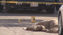 Estrategia federal para disminuir violencia, con pocos resultados en Sinaloa