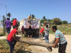 Jóvenes voluntarios realizan acciones de descacharrización