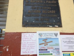 Hay plaga de "piojos" en escuelas primarias