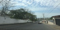 Piden instalación de topes en la Rubén Jaramillo