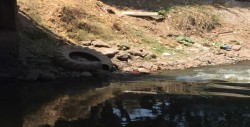 Empieza a tener basura el canal de La Higuerita