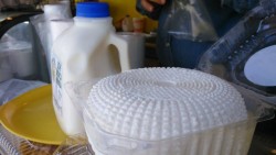 Que se regule a productores independientes: Queseros