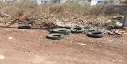 Con intenso olor animal muerto en lote baldío en Rincón Real