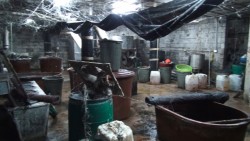 Marina y PEP descubren narcolaboratorio bajo granja de puercos y gallinas en la campesina el Barrio
