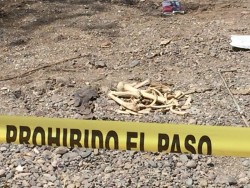 Localizan más osamentas en el río Humaya
