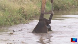 Limpian drenes en Cajeme