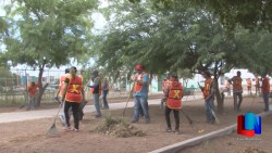 Beneficia a cajemenses empleo temporal