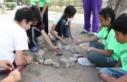 Hará el IMSS campamento de verano para niños