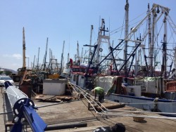 Mucho trabajo eventual en el muelle