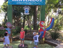 Buena temporada de vacaciones vive el Acuario