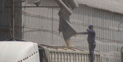 Crearán nuevo sistema de comercialización agrícola para Sinaloa