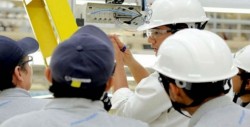 Se crean 517 mil empleos en primer semestre de 2017