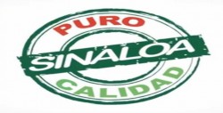 Presenta Gobernador Quirino Ordaz la marca "Calidad Puro Sinaloa"