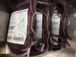Donación voluntaria de sangre, salva muchas vidas