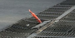 Dañada alcantarilla por el Boulevard  Villas del Río
