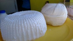 Favorables las lluvias para productores de leche