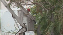 Atienden problema de alumbrado público en Cañadas