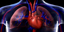 Aumentan infartos al corazón en jóvenes: Angiólogo