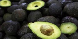 Demanda y clima provocan aumento en el precio del aguacate
