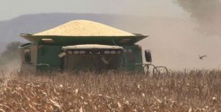 Sinaloa presentó un avance a tasa anual en su economía