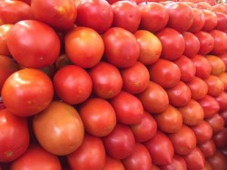 Aumenta precio del kilo de tomate a $32.00