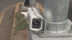 Esperan disminución de índices de seguridad