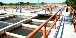 El viernes se normalizará el servicio de agua  potable