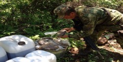 Logra Ejército Mexicano aseguramiento histórico de 140 litros de morfina