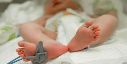 De más de 370 nacimientos con éxito solo uno murió por infección nosocomial