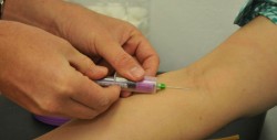 Estiman emitir más de 100 mil certificados médicos