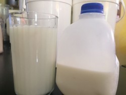 Exigen un precio justo por litro de leche