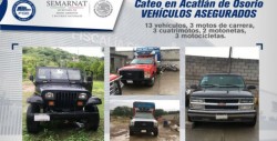 Aseguran animales exóticos y armas en rancho de "Los Rojos" en Puebla