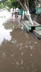 Temen por la vida de los niños..