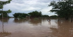 Aprueban 20 mdp para atender contingencias por huracanes y ciclones
