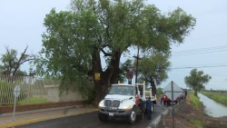 Primeras lluvias de consideración en la zona norte de Sinaloa