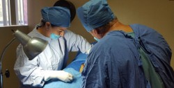 Poco creíble que IMSS Sinaloa tenga niveles altos de aceptación: Intercamaral