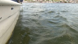Alerta por marea roja en la bahía de Ohuira