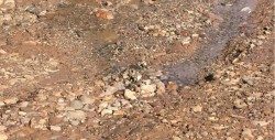 Fuga de agua en la Progreso